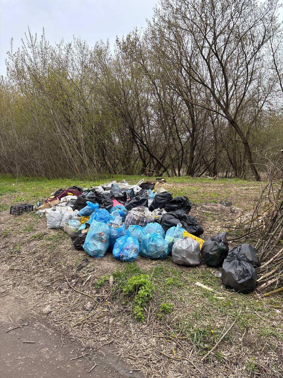 прибране сміття на толоці