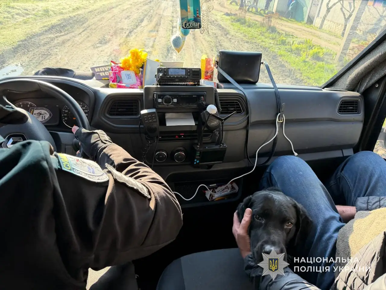 Пес їде з прифронтової Сумщини у безпечне місце