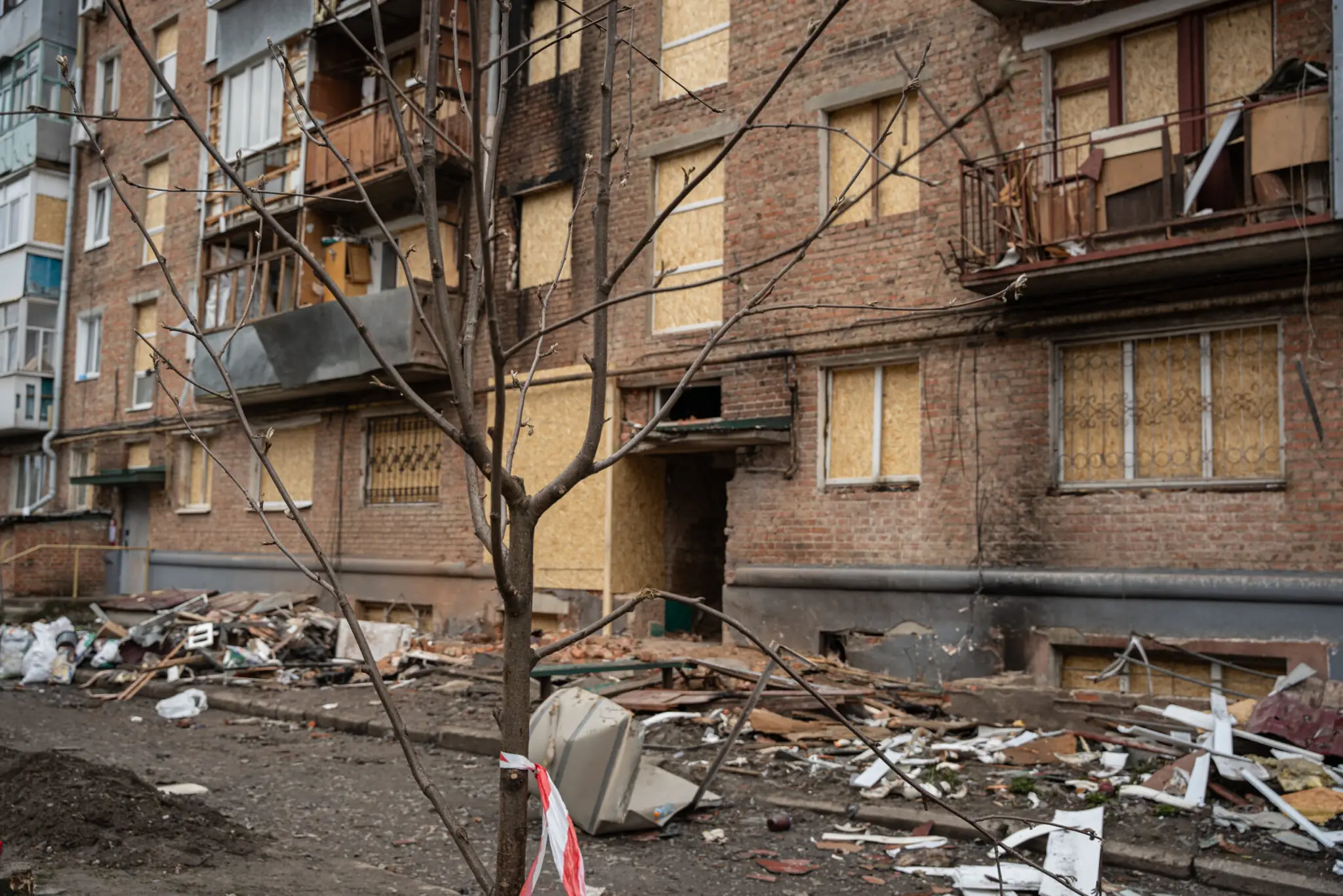 sumy-velykden-26-18 Пошкоджене деревце верби після атаки