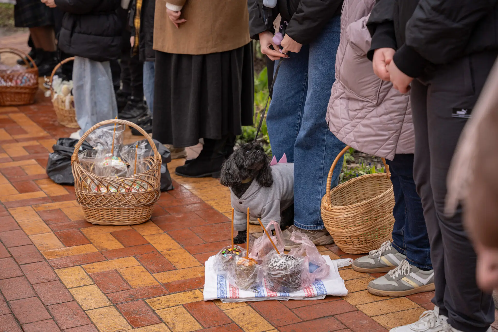 sumy-velykden-26-29 Песик у черзі біля собору
