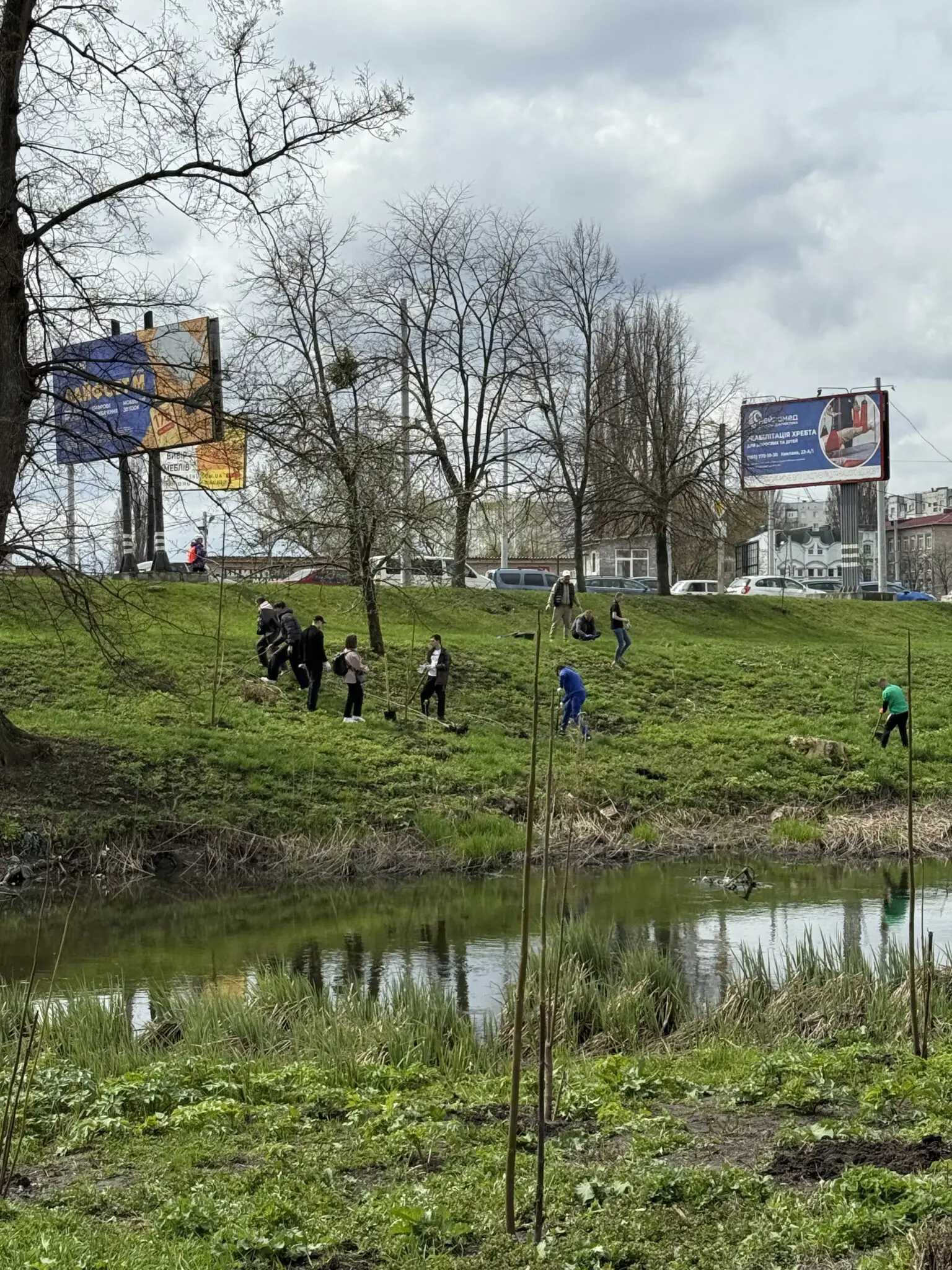 У Сумах висаджують дерева 