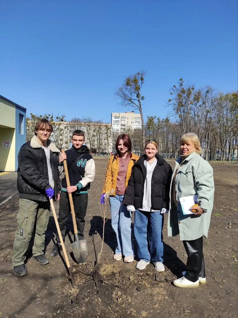 учні саджають сакури в Сумах