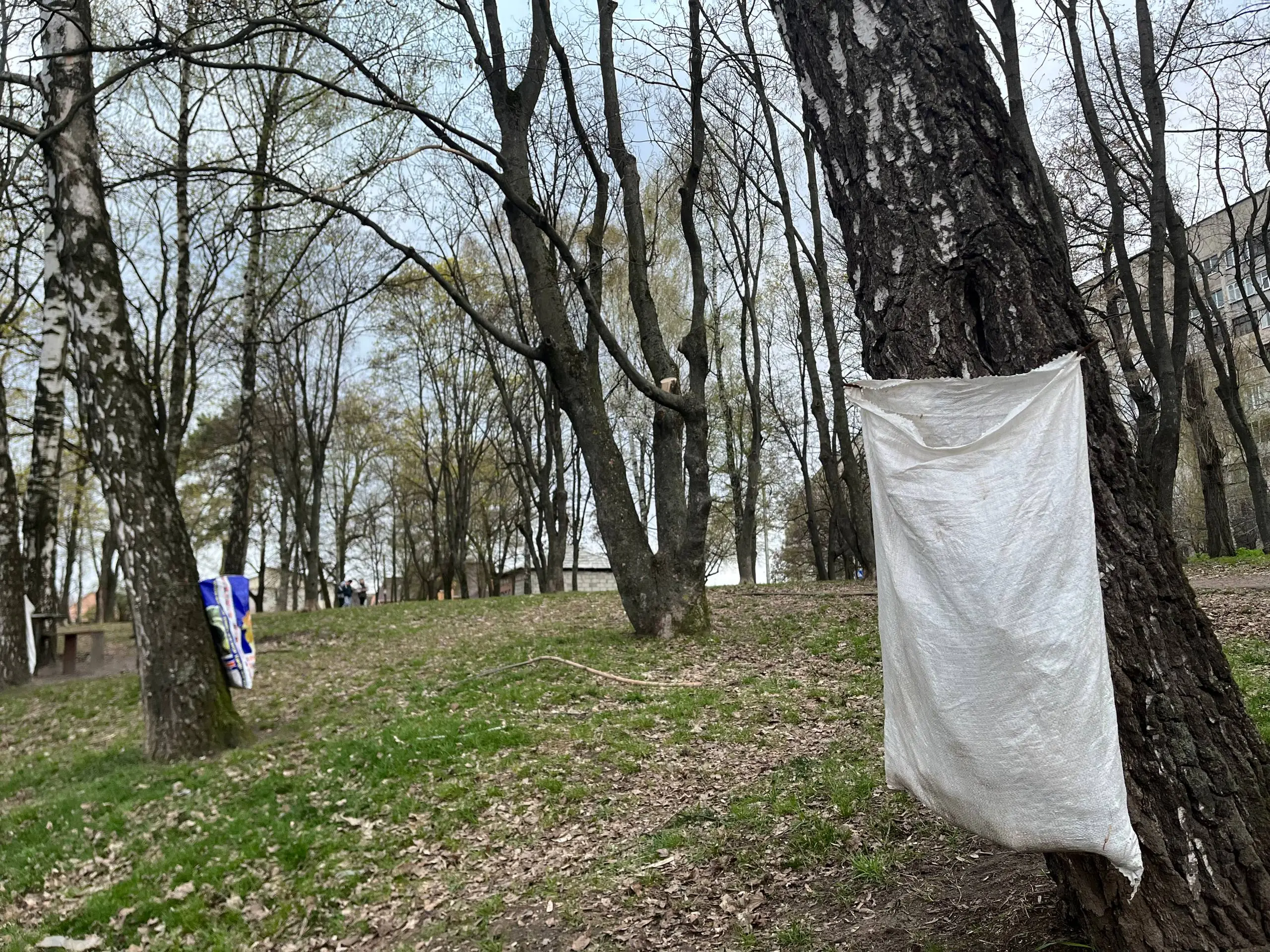 мішки для сміття у парку Верижиця