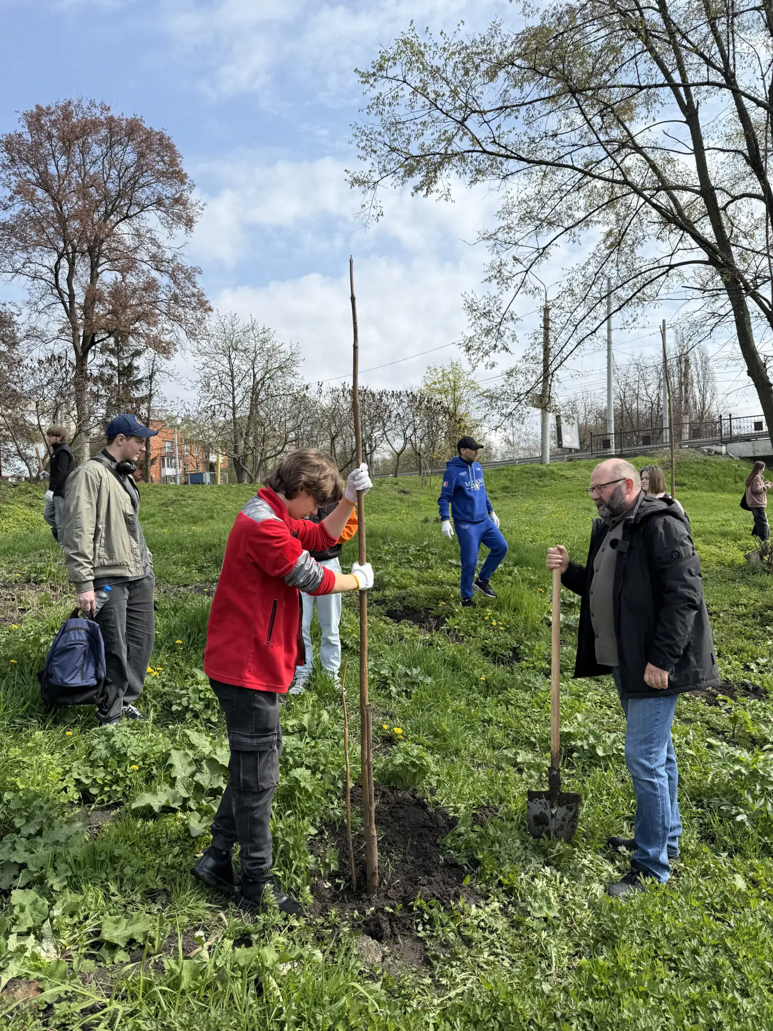 Висадка дерев в Сумах