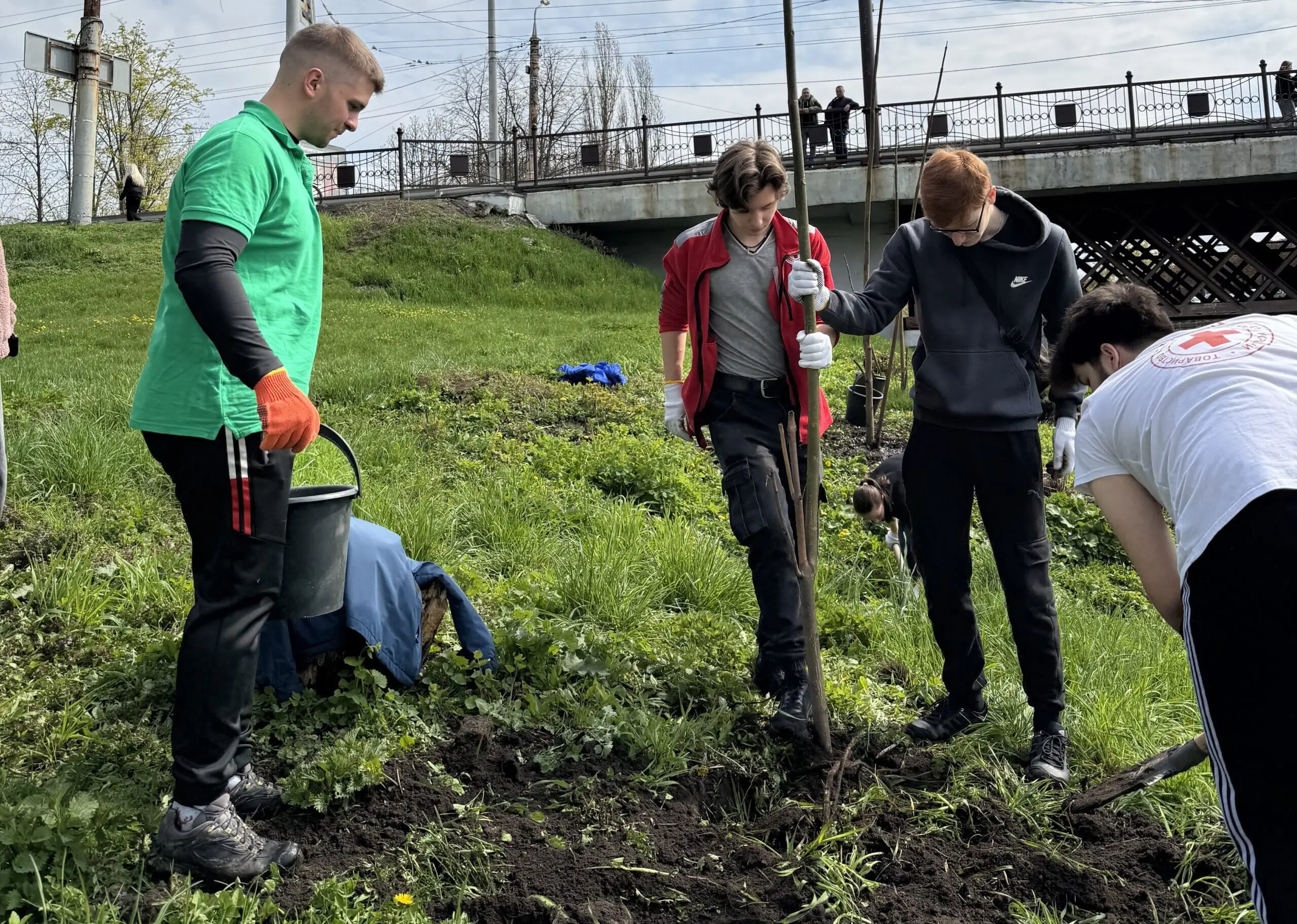 Висадка дерев у центрі Сум