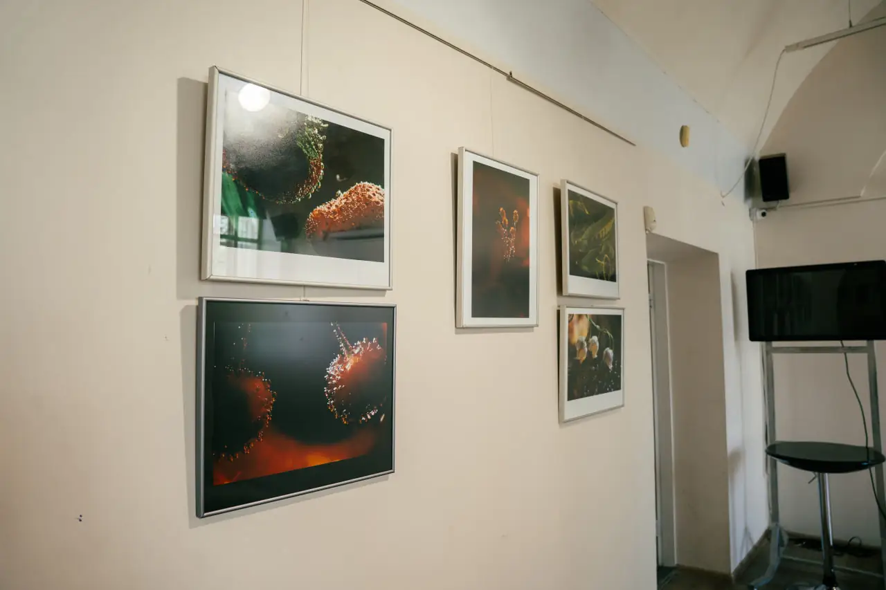 Виставка макрофото Наталії Семенченко в Сумах