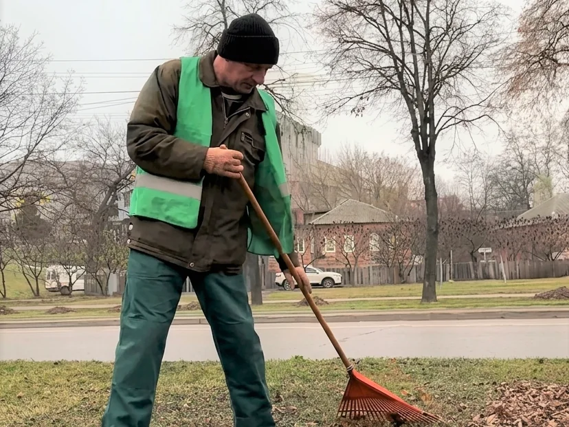 Зеленбуд Суми