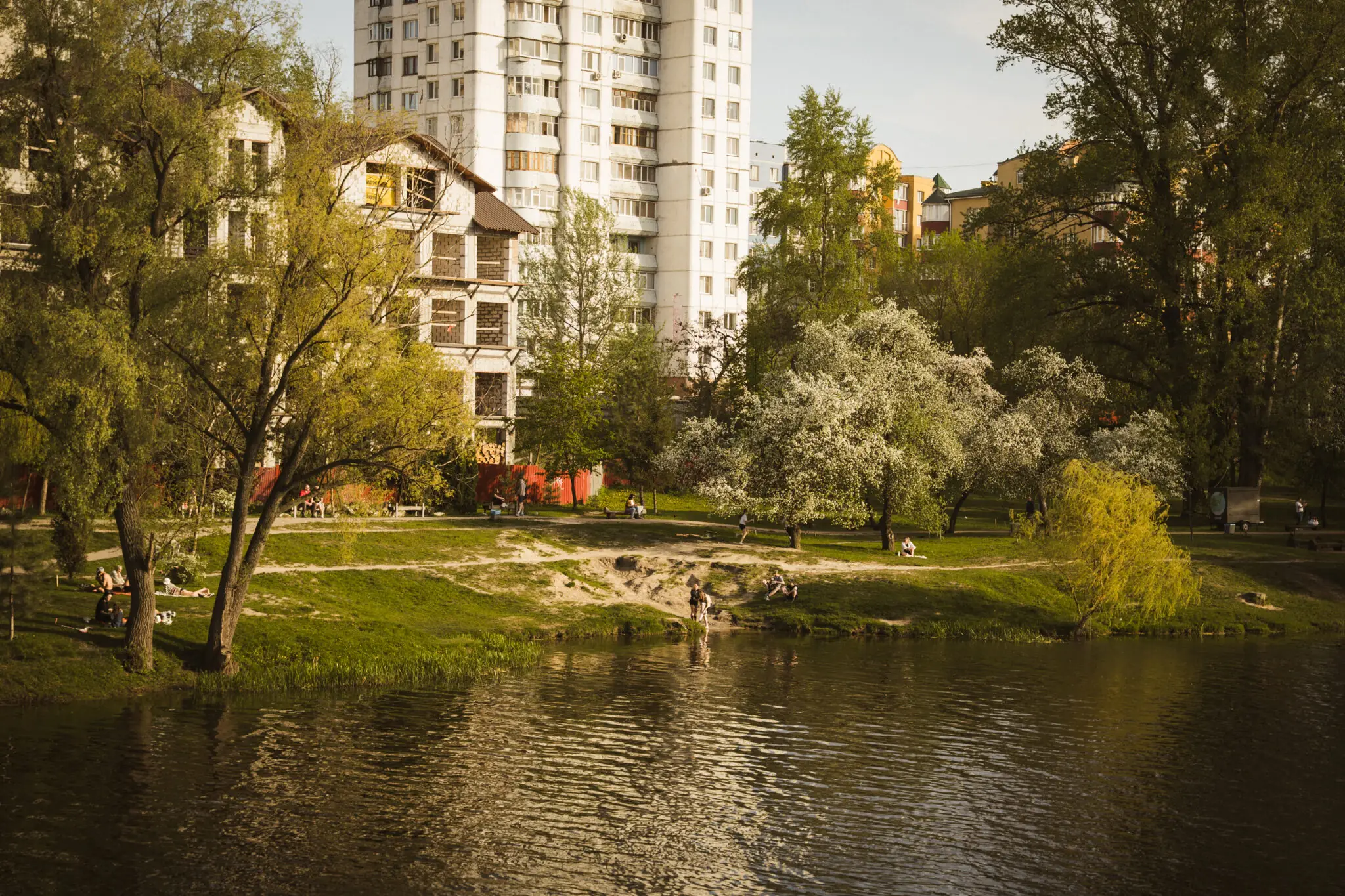 Sumy u travni nepodalik zdybanky