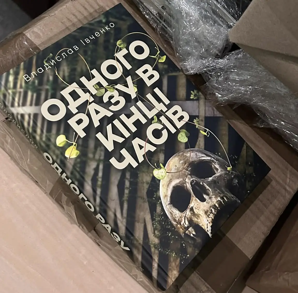 книга Владислава Івченка