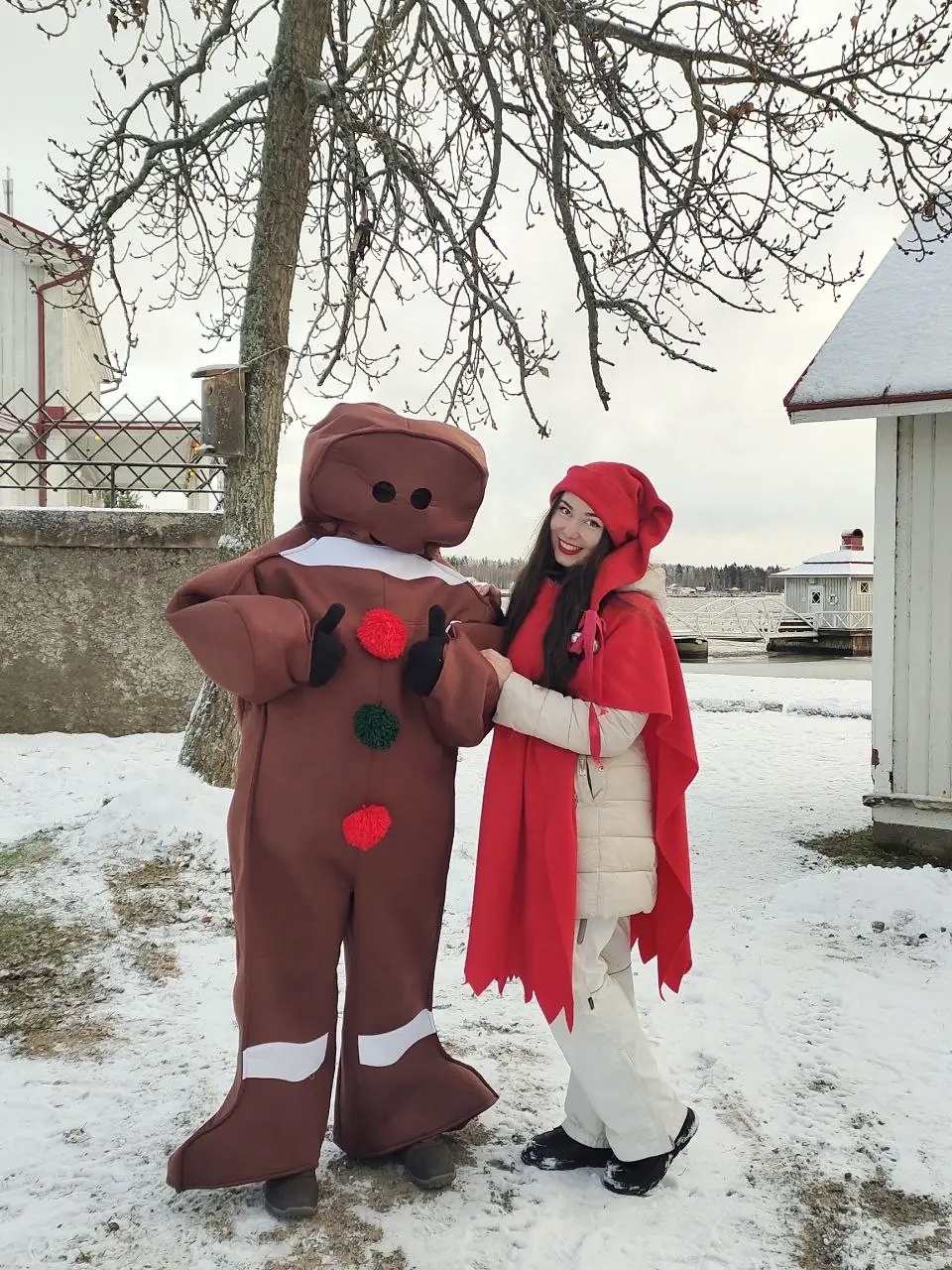 liza elf finliandiia 01
