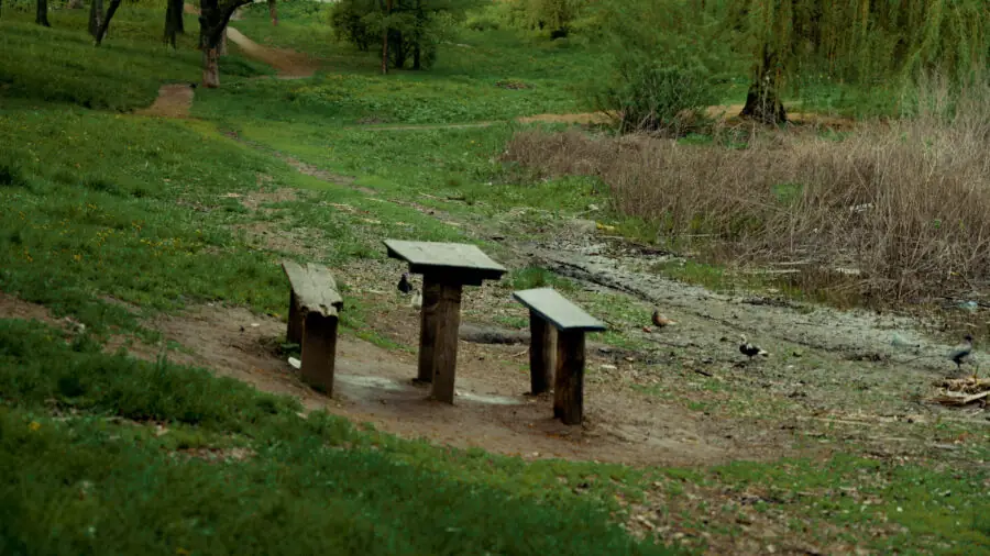 park veryzhytsya v sumakh