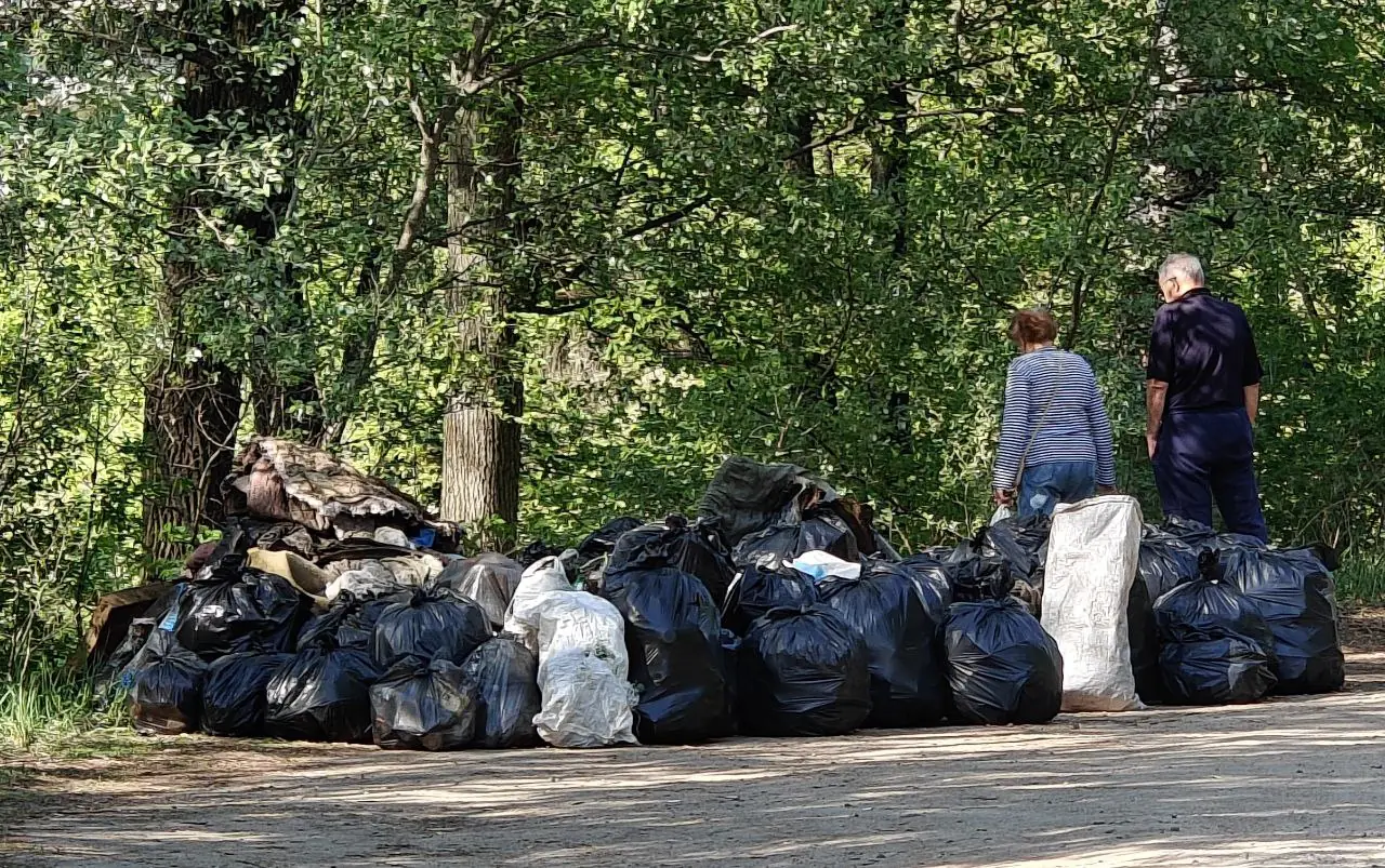 зібране сміття на толоці від червоного хреста