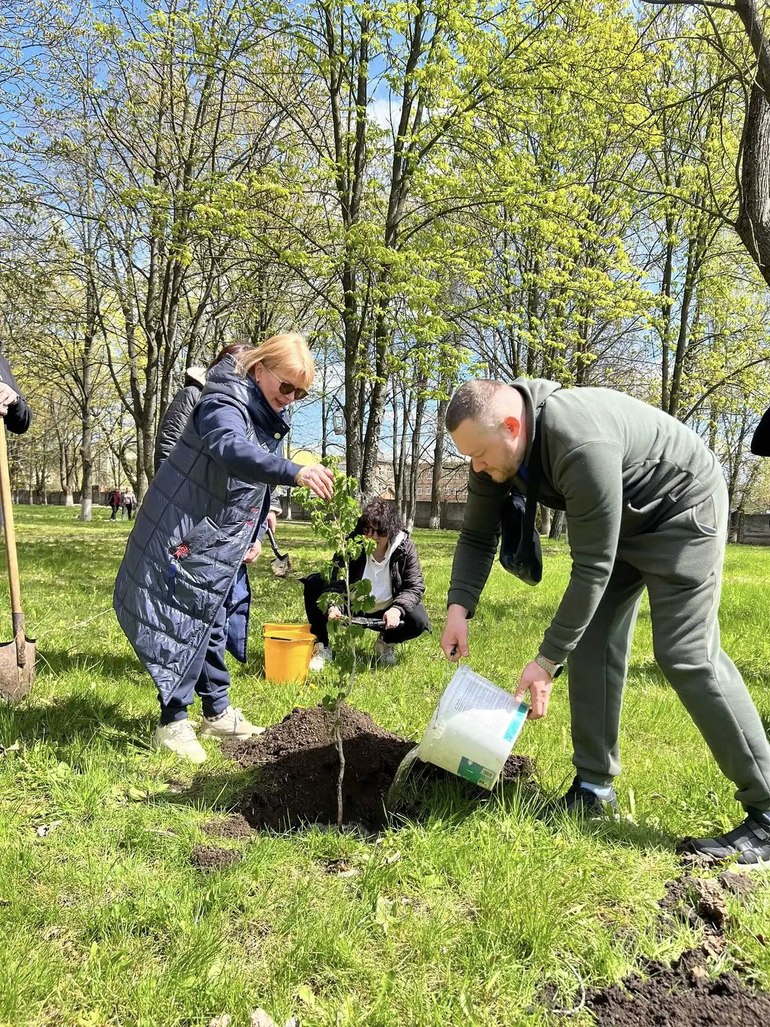 Висадка дерев у Сумах