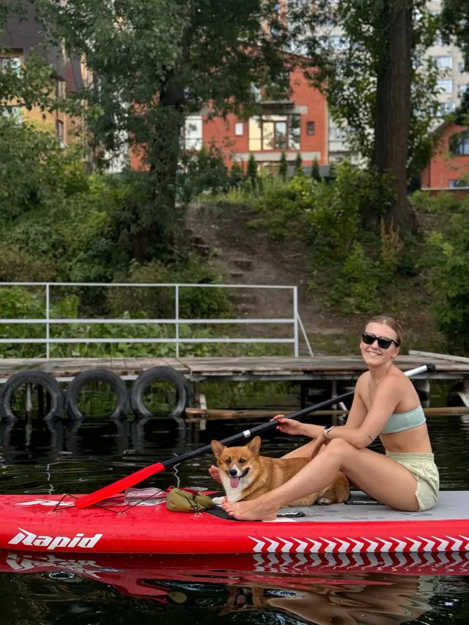 dog sup sumy