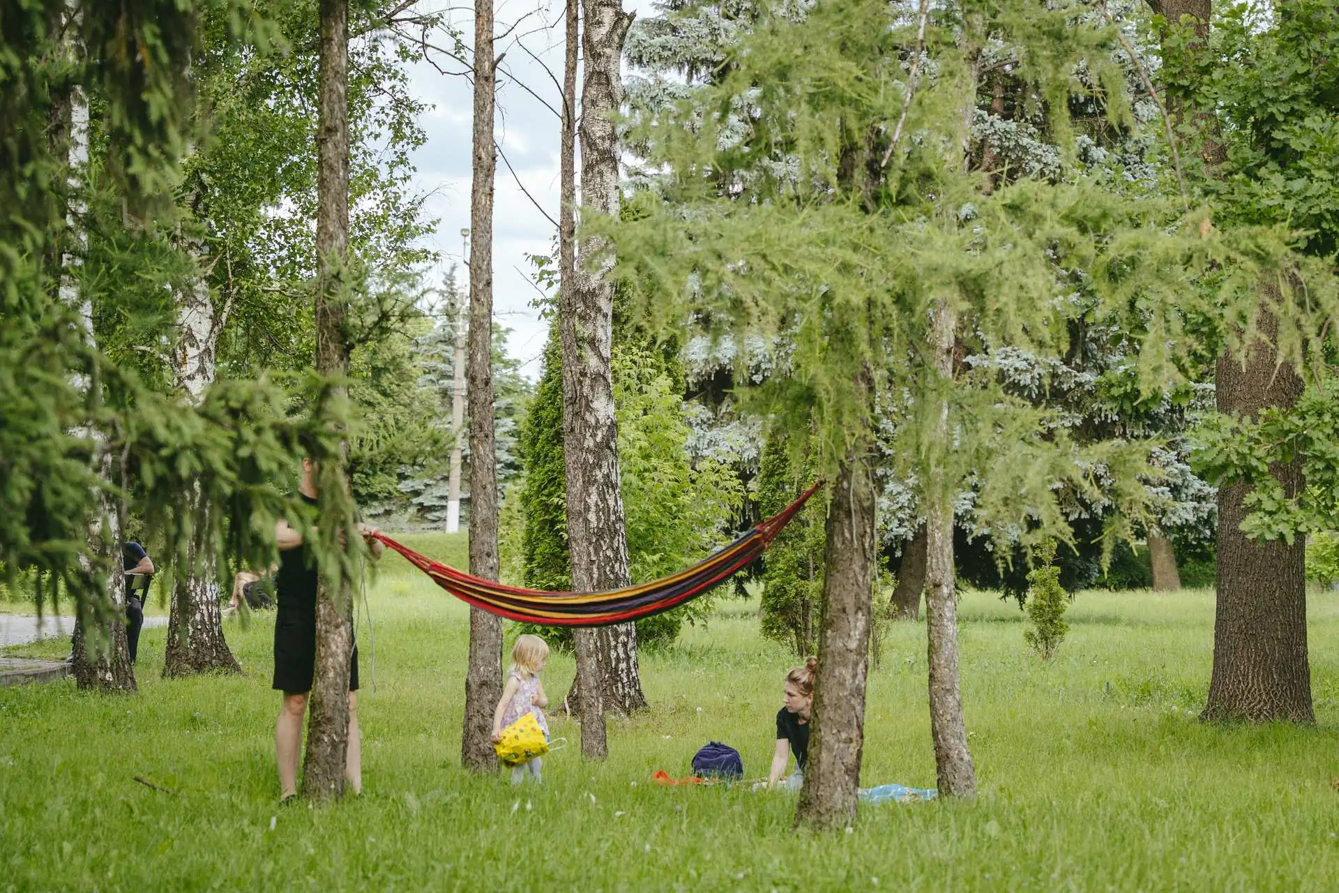 hamak park sumy shevchenka