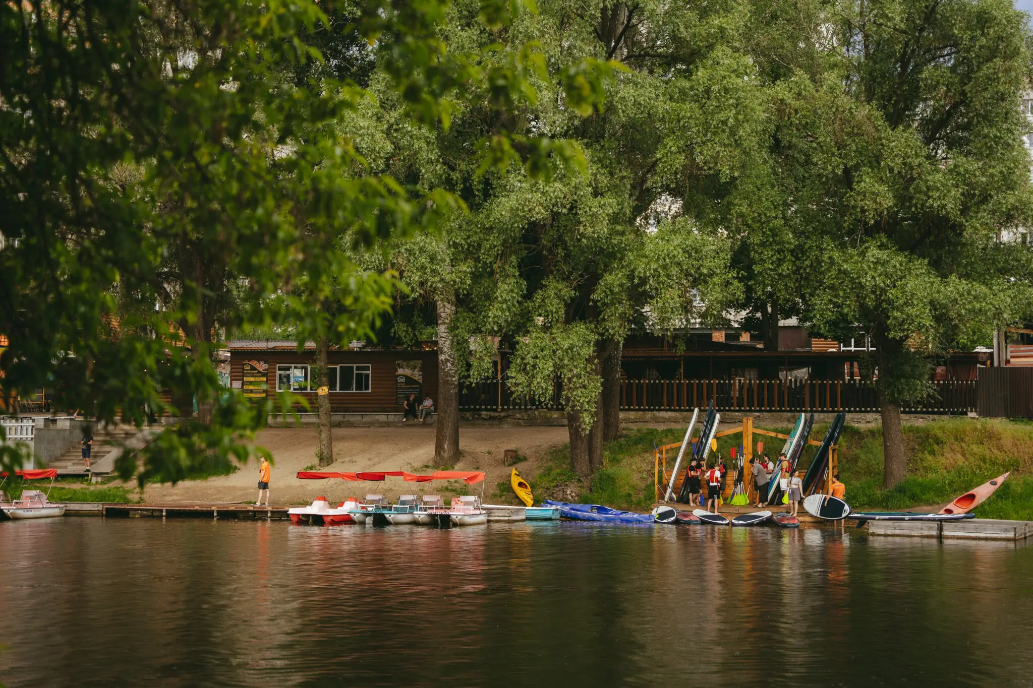 sapy v sumakh