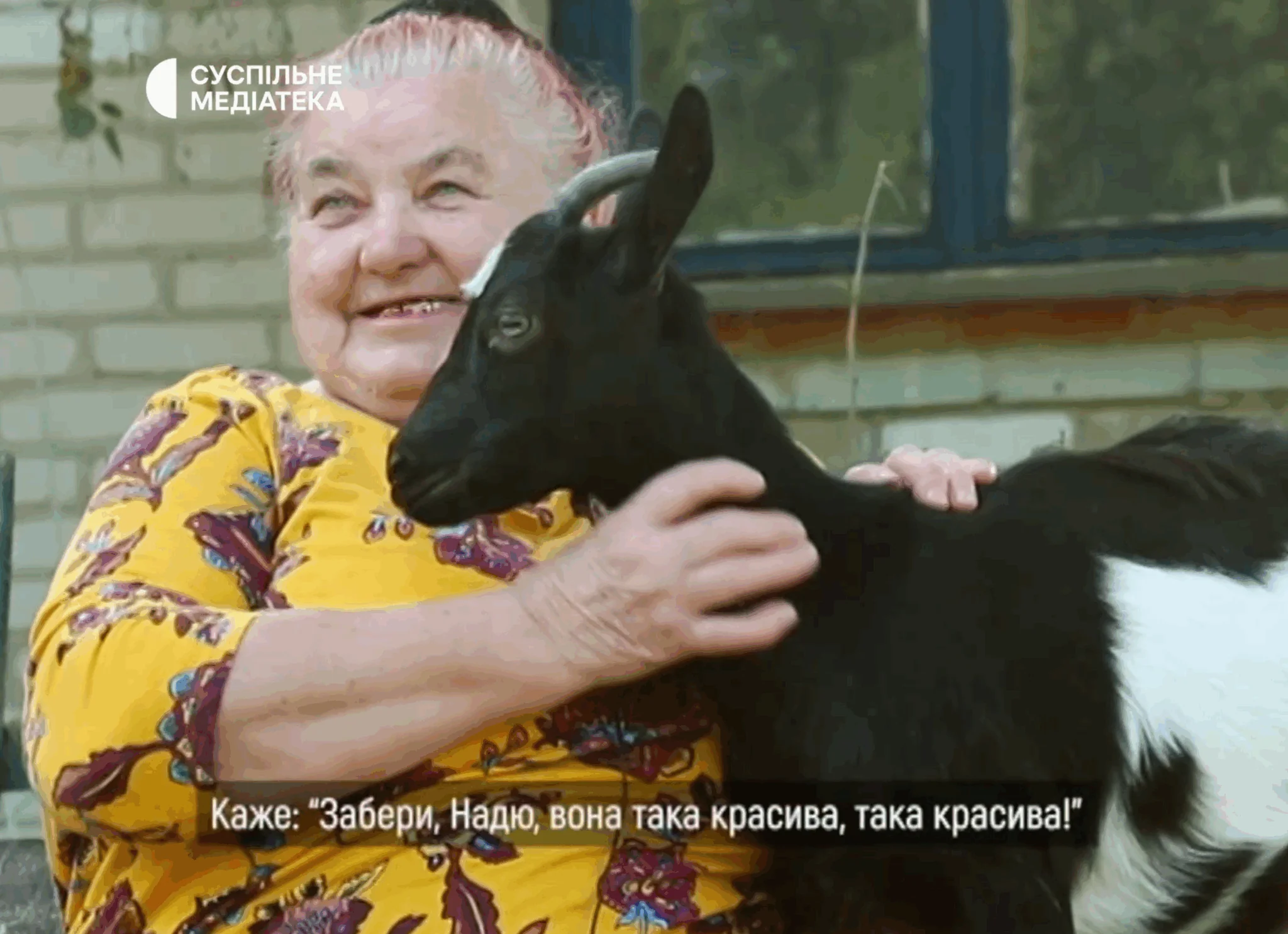 zhytelka iskryskivshchyny sumshchyna zhytelka iskryskivshchyny sumshchyna