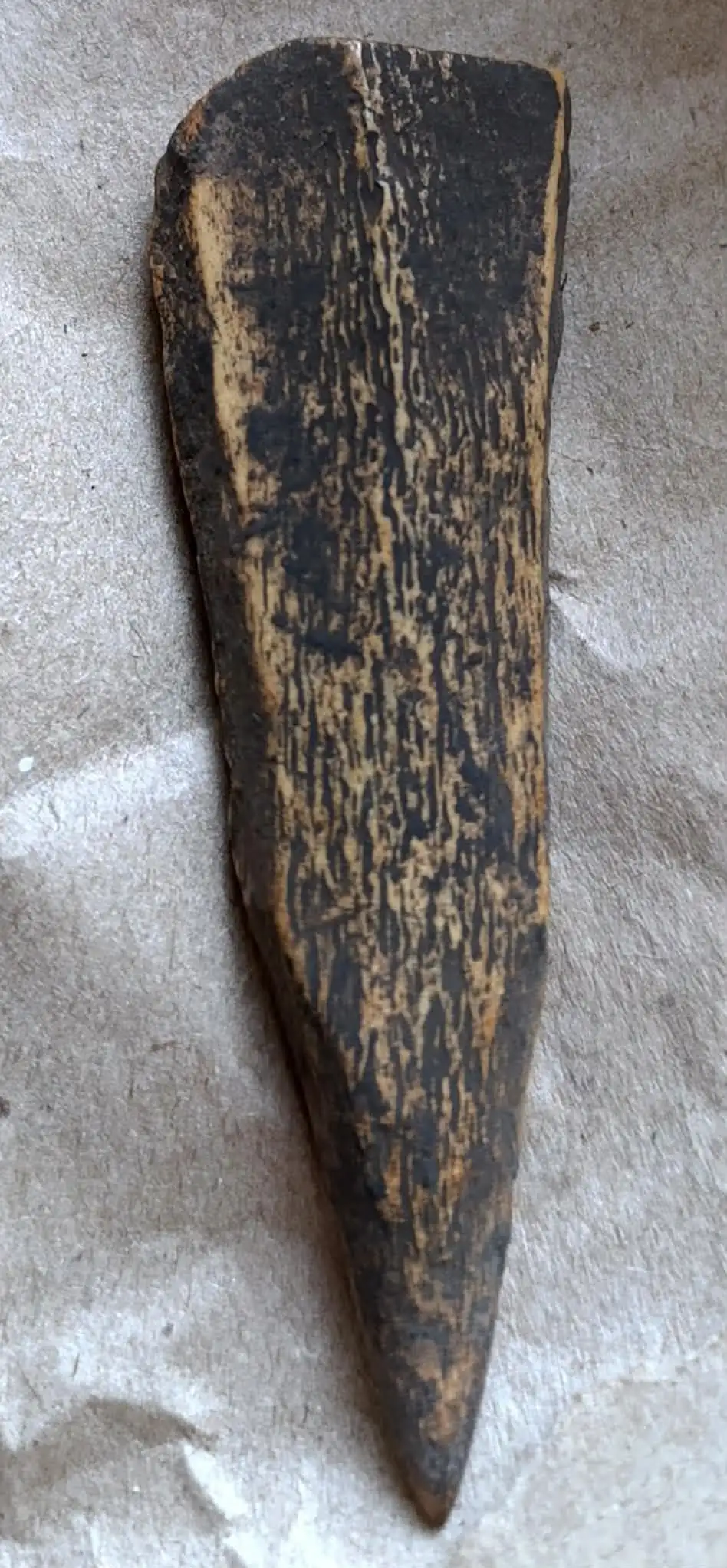 arheology sumy