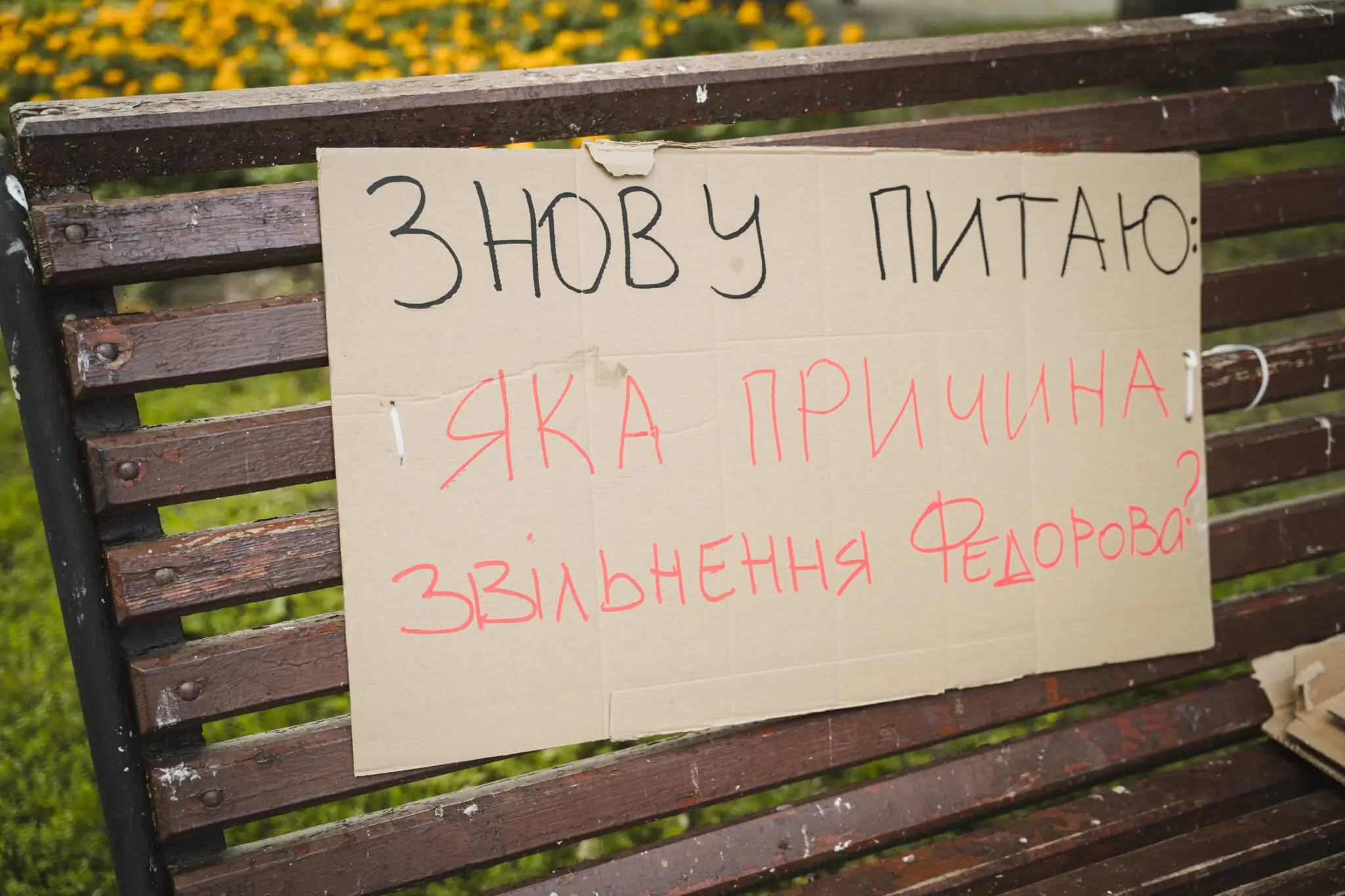 kartonky na lavtsi