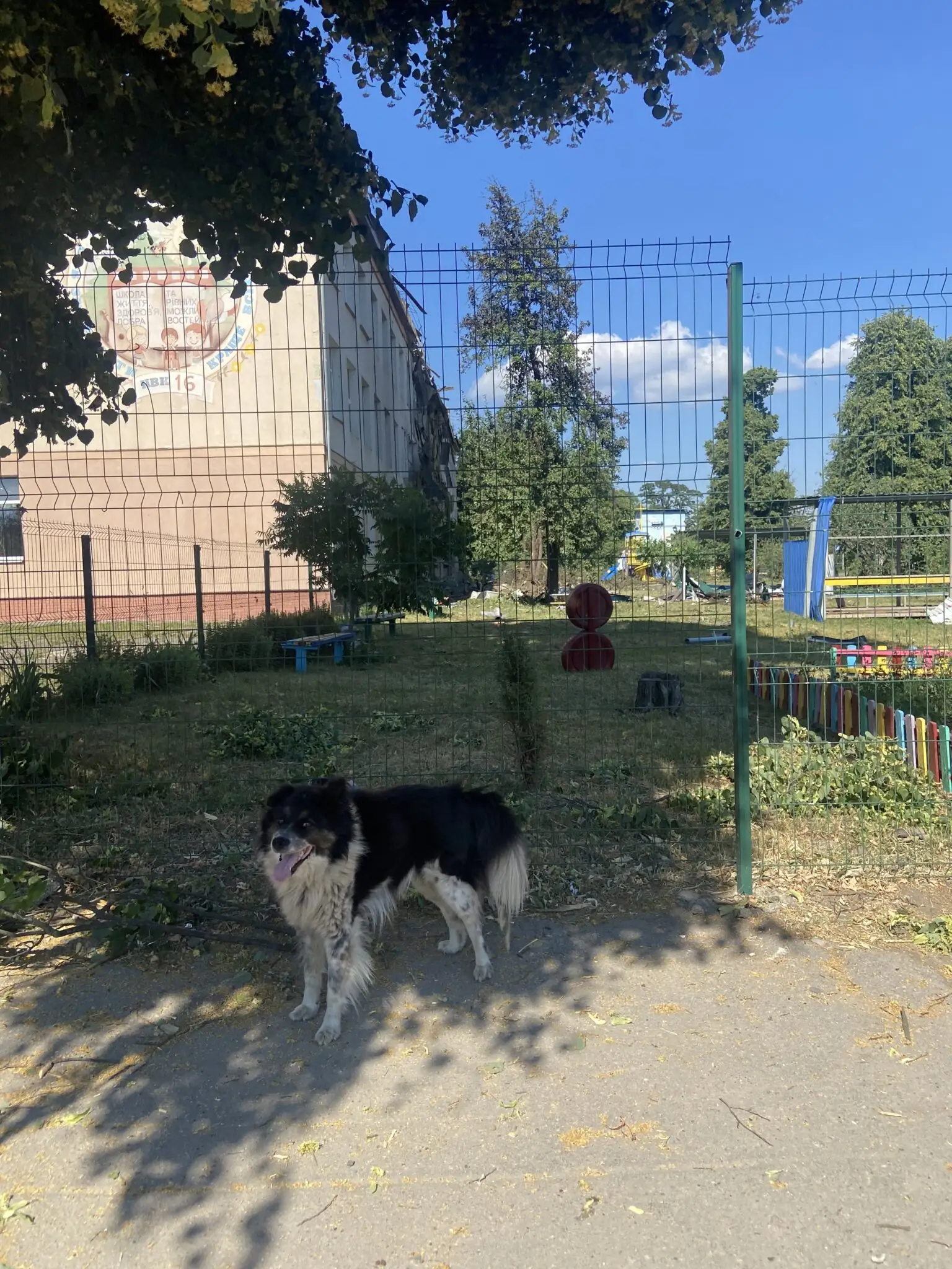 poshkodzhena vnaslidok ataky shkola v sumakh