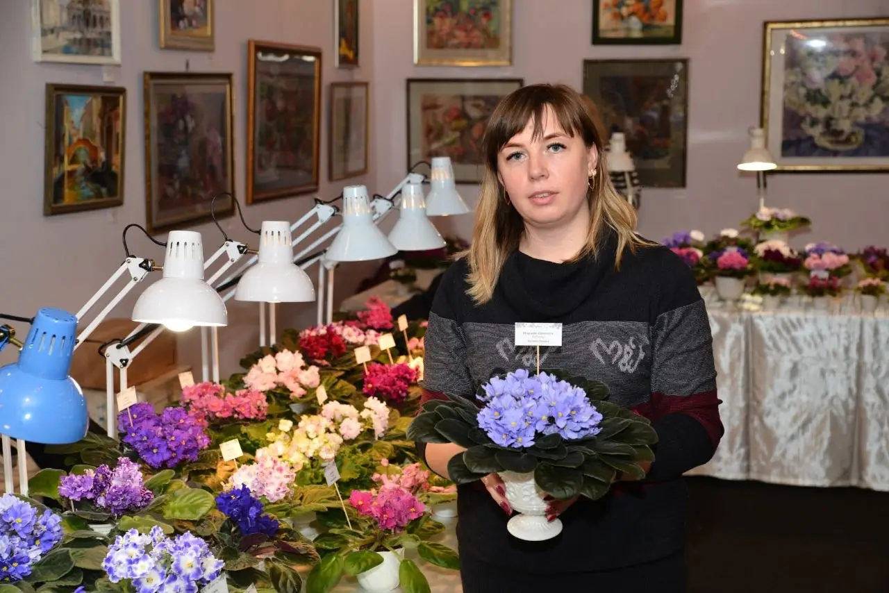 vystavka u kharkovi Виставка у харкові