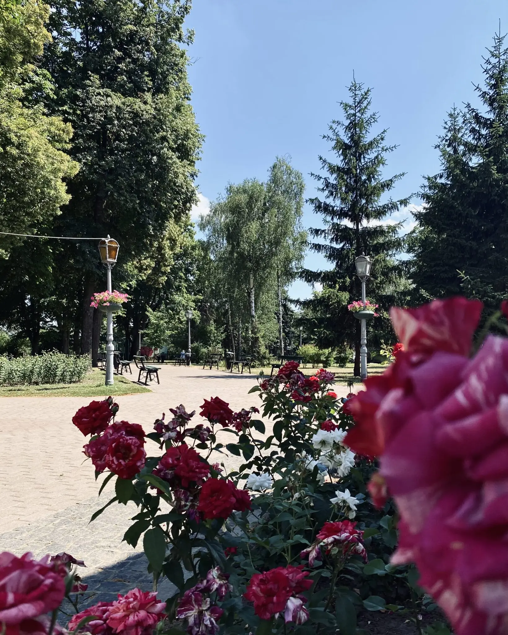 Териорія навколо Альтанки