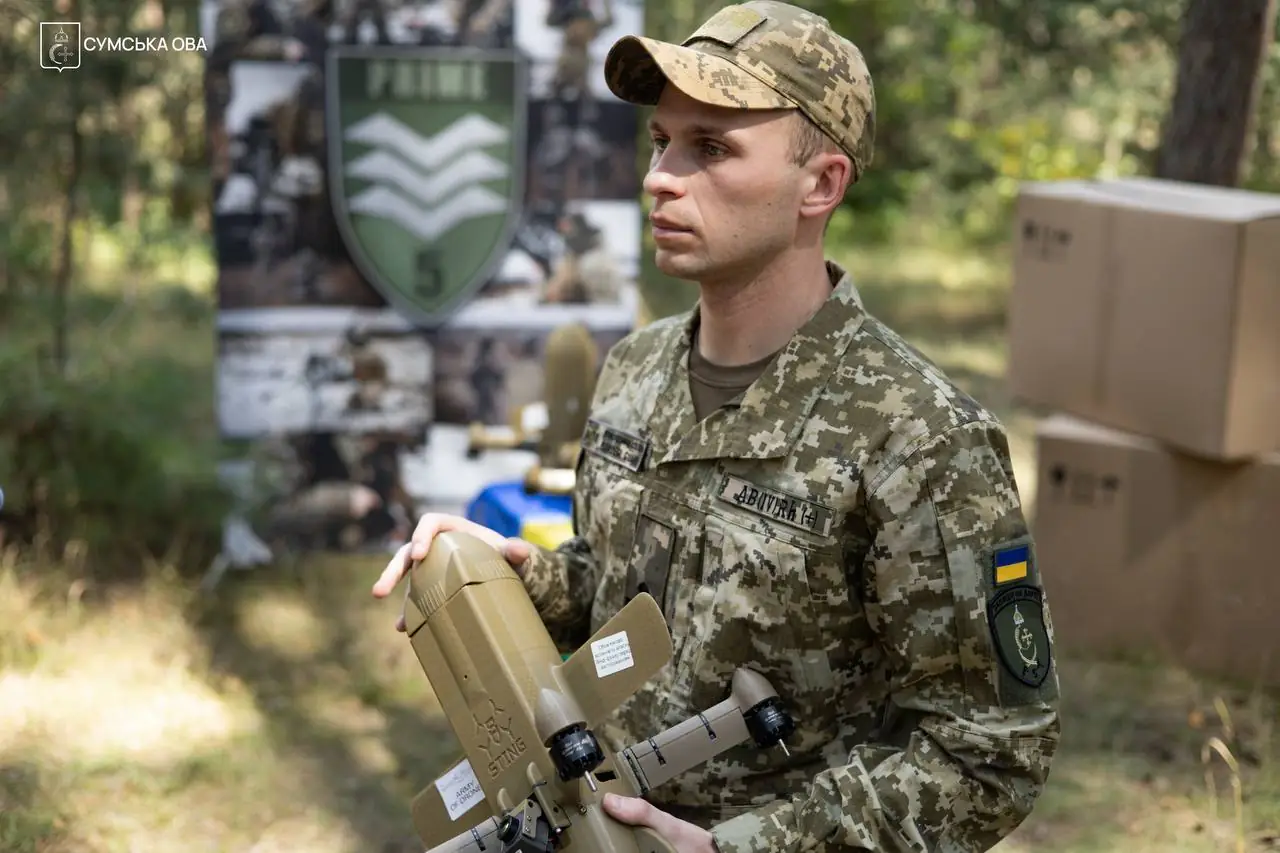 Військовий і дрон-перехоплювач Стінг