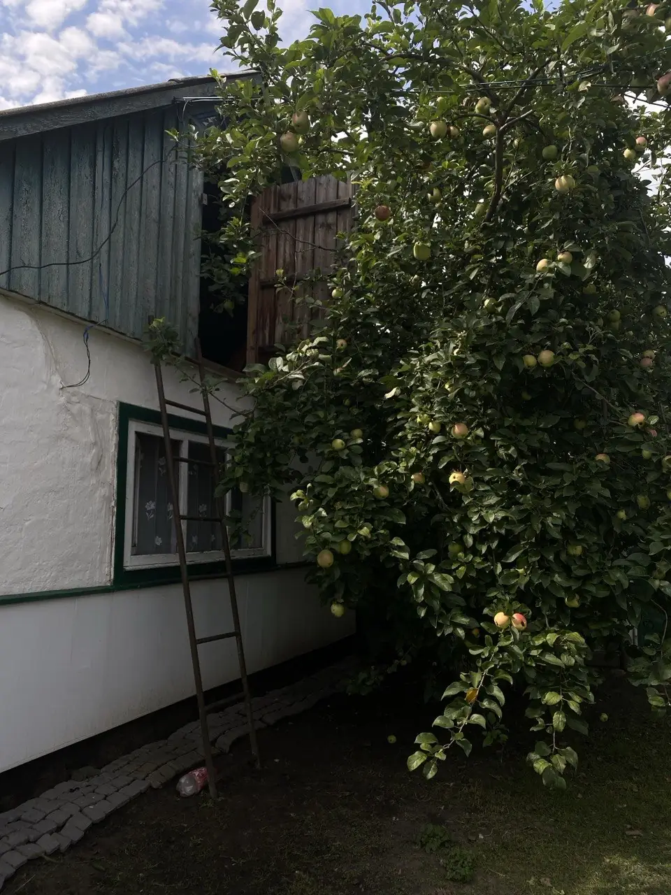 yablunya bilya budynku u seli podilky
