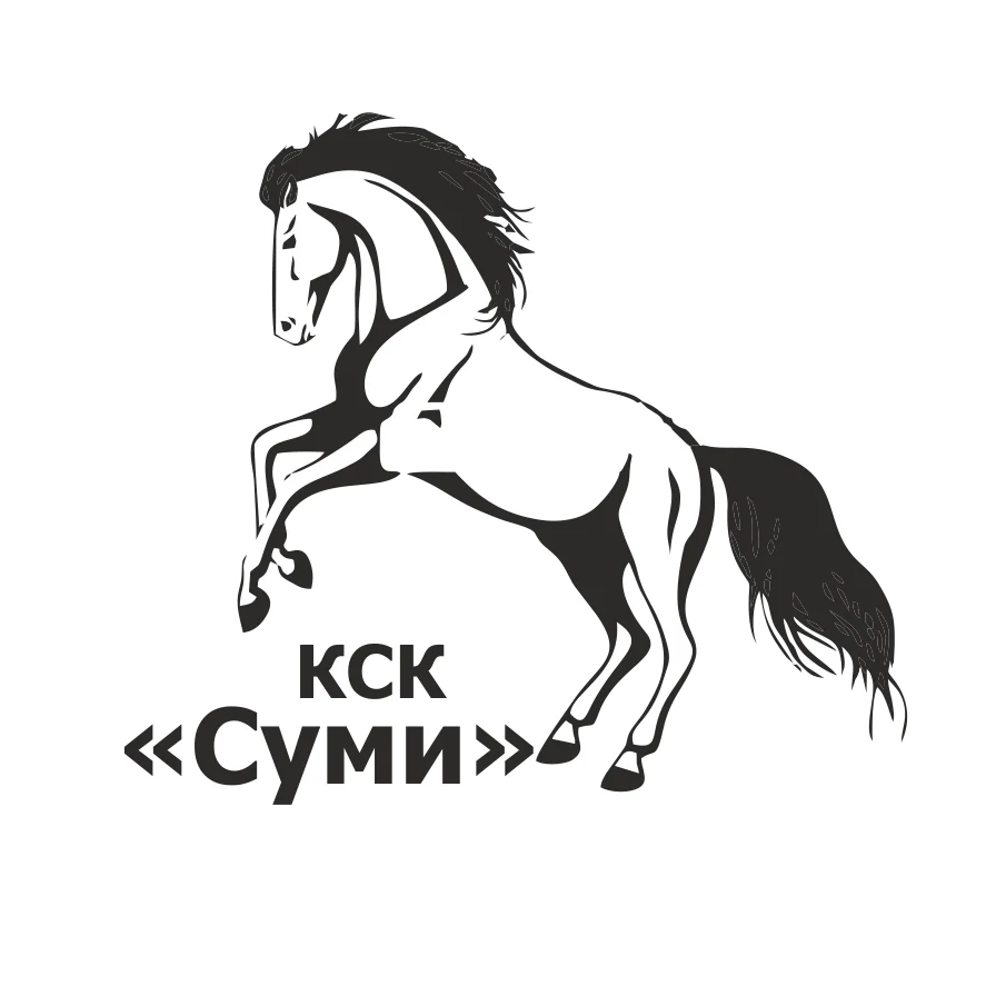 65557774 693845617700848 7311782346531799040 n